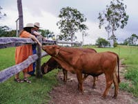 Guest Patting the freindly farm animals at the hitching rail retreat tropical north Queensland