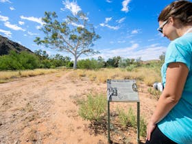 A visitor views a Ghost Gum tree and interpretive sign in the East MacDonnell Ranges
