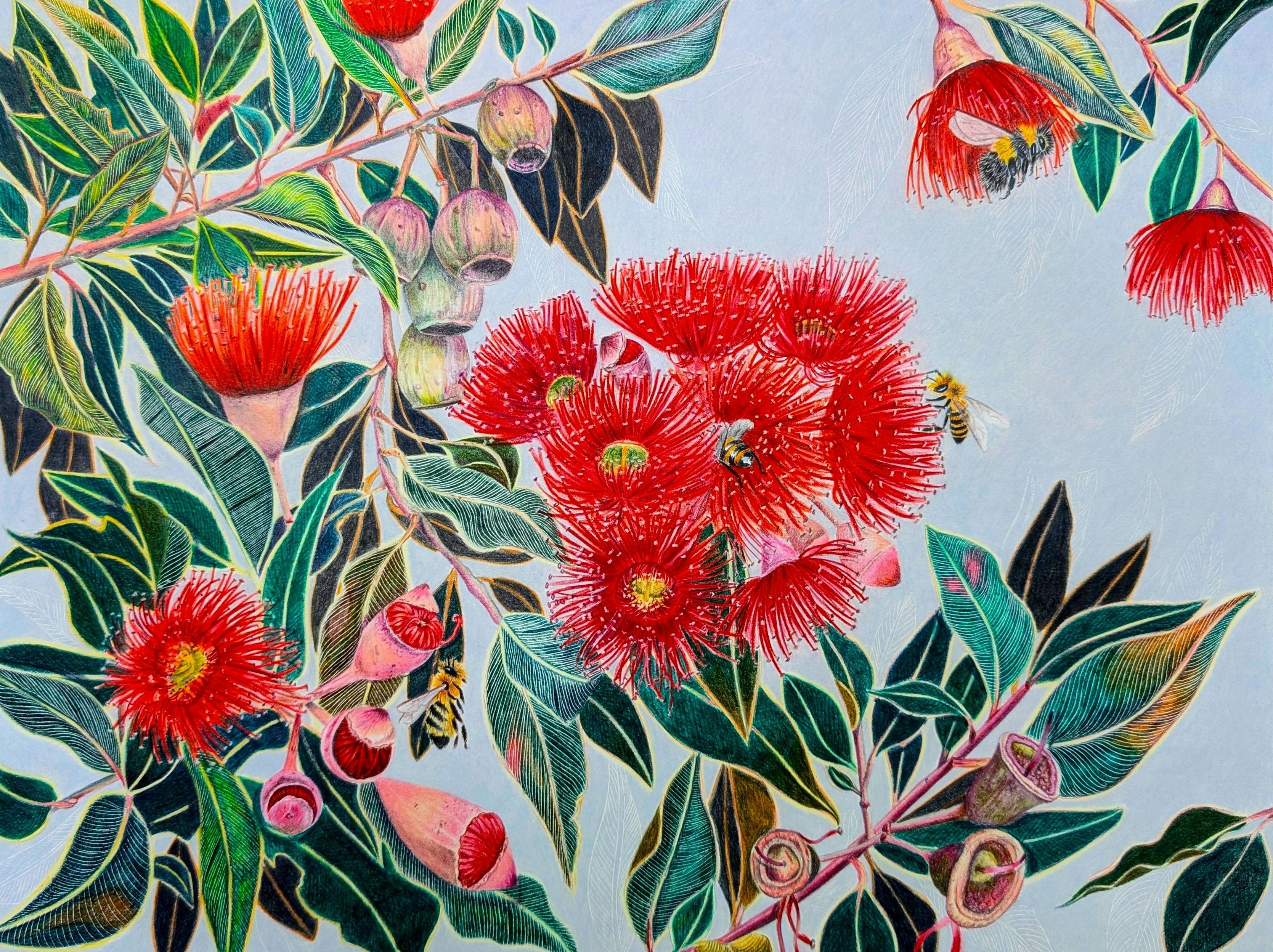 A colour pencil drawing of red flowering gums, gum leaves, with bees on a light grey background