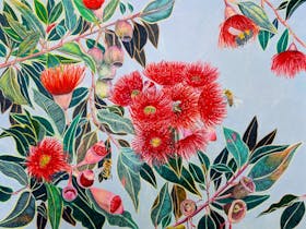 Jane Seychell Artist Gallery & Framing