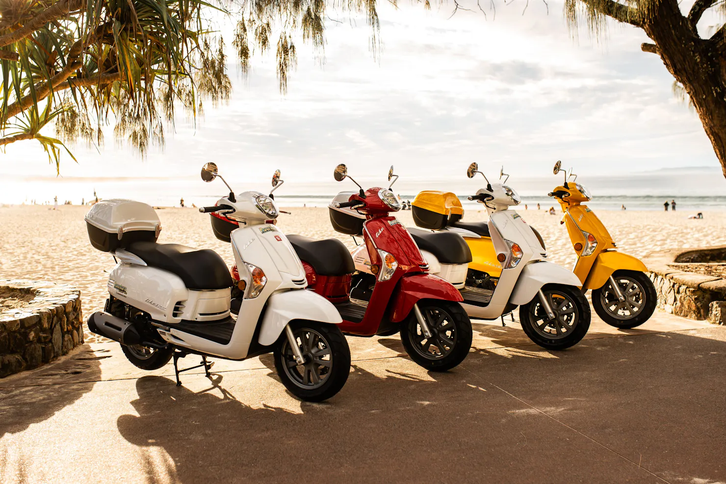 Line up of 4 different scooters at Noosa Main Beach at sunset