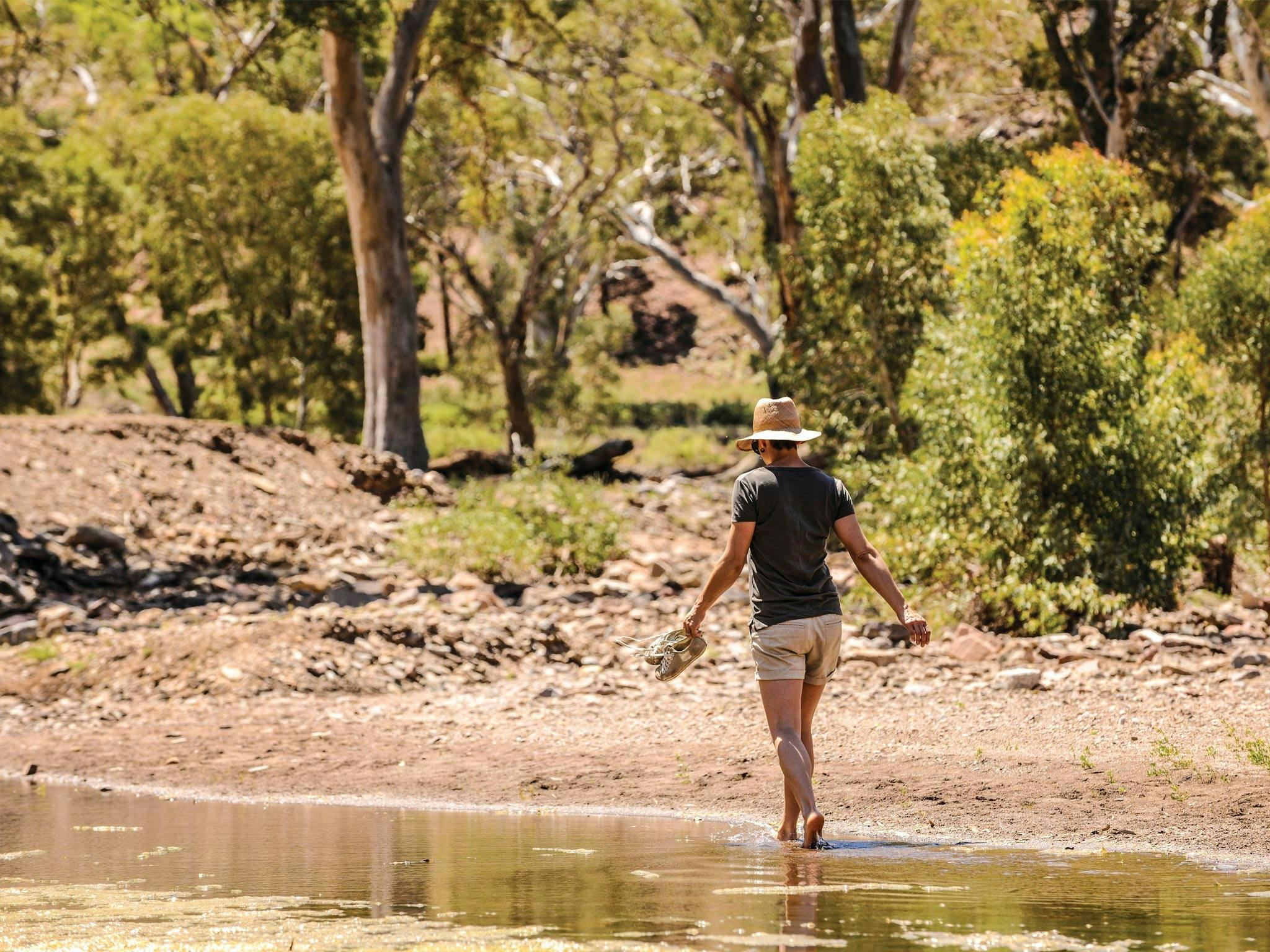 Kirkhope Aviation | Outback Air Tours & Corporate Charter | Flinders Ranges and Outback