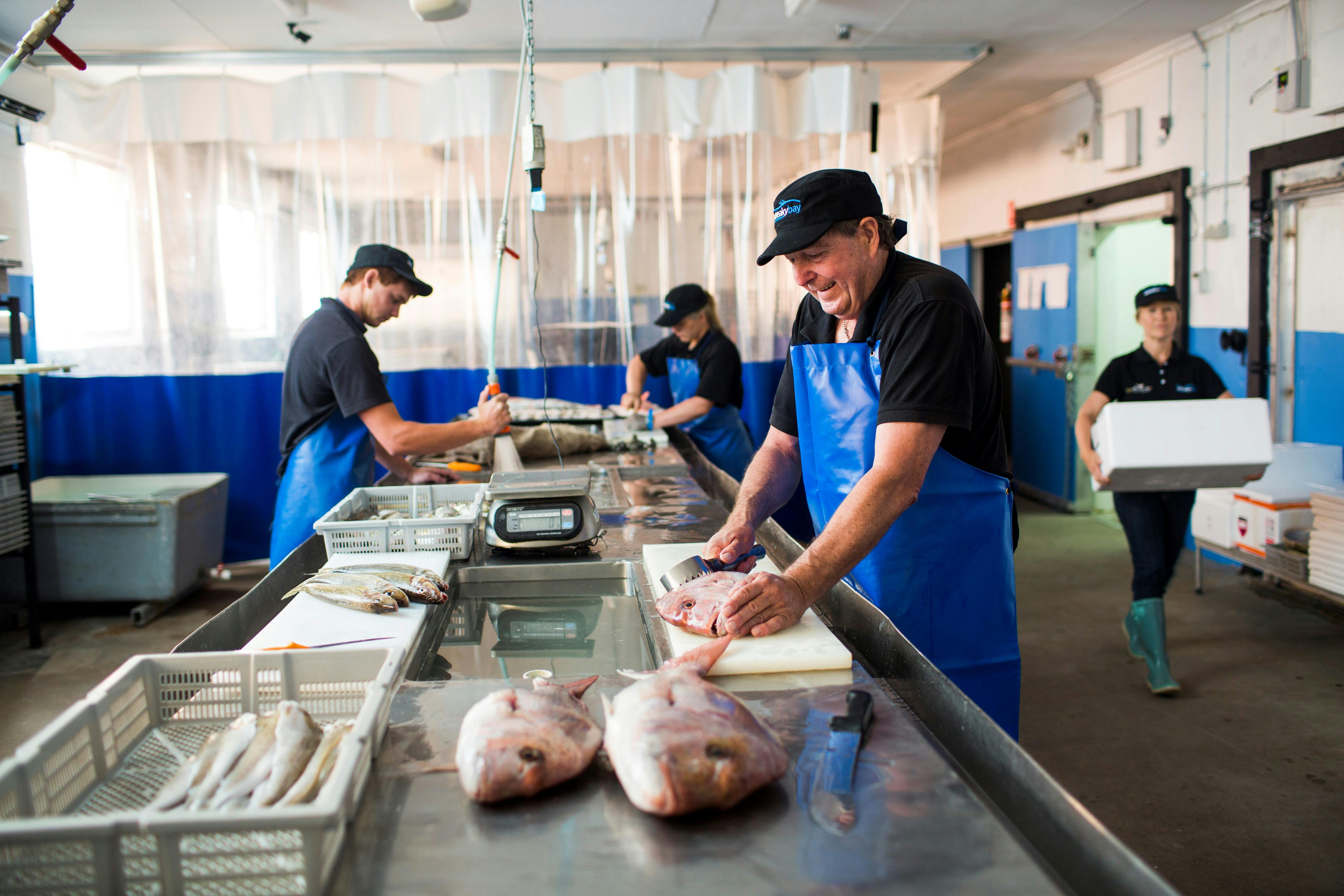Streaky Bay Marine Products Factory Outlet