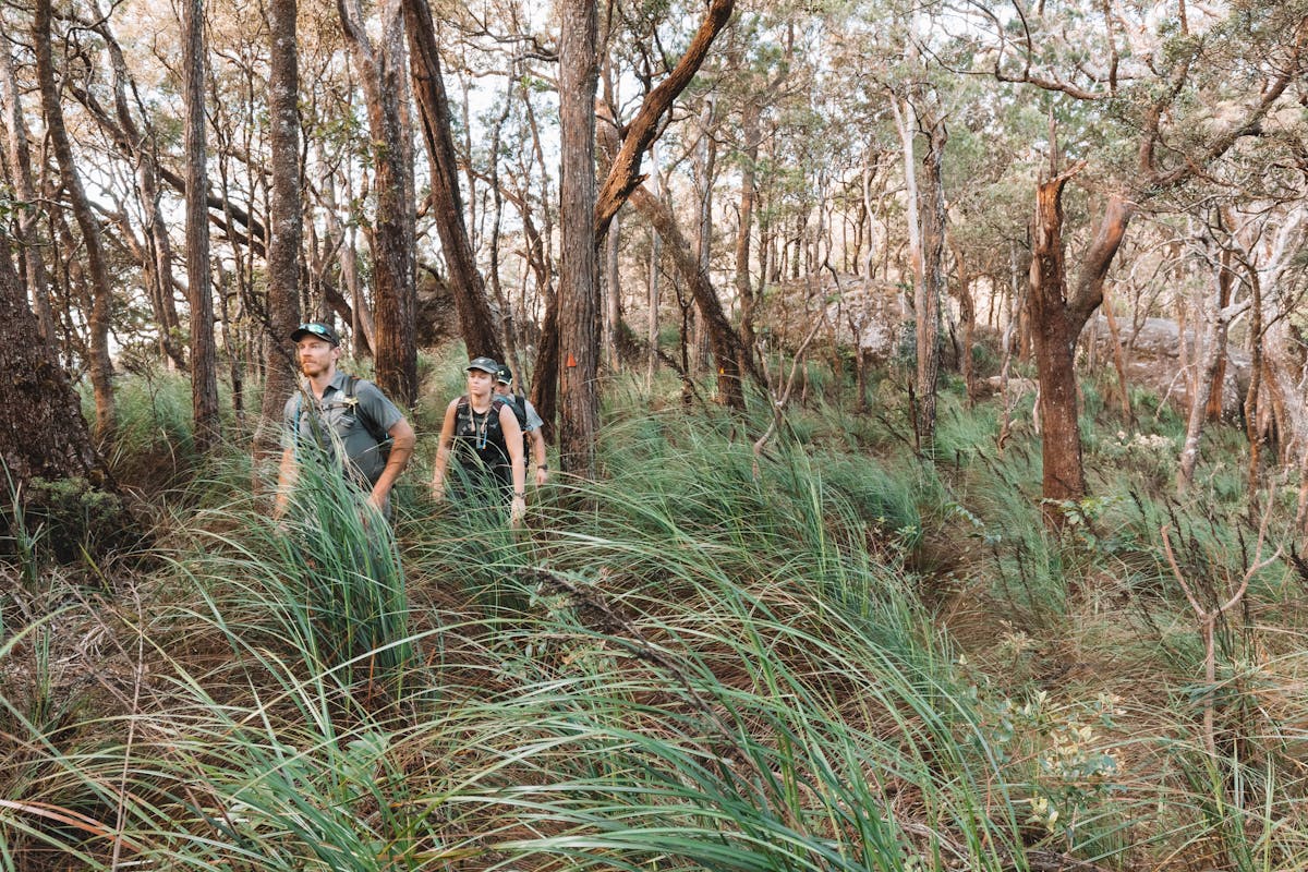 FNQ Nature Tours