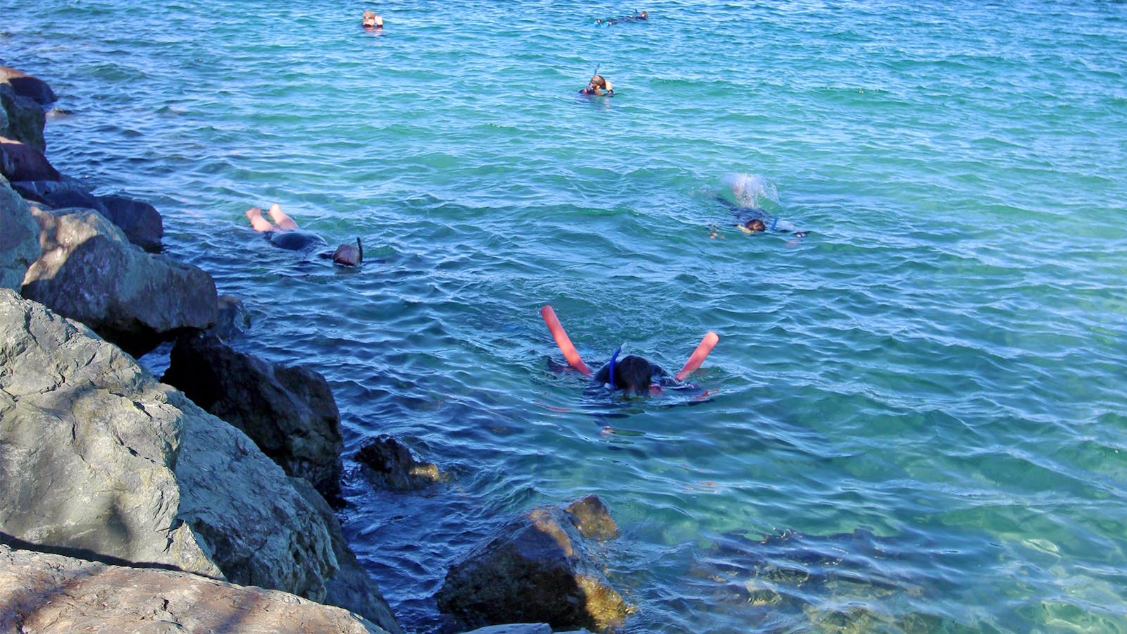 Wavebreak Island Snorkel Tour