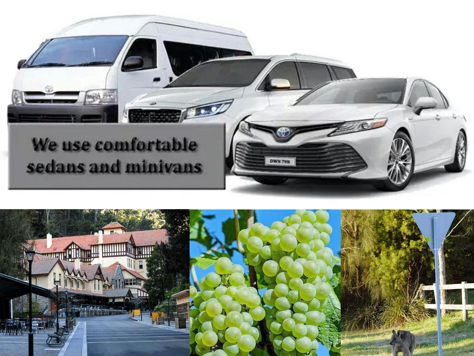 Tailored Private Sydney Tours