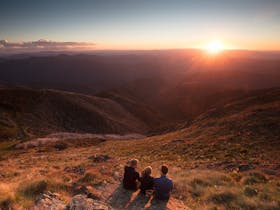 Discover Victoria's High Country with Mansfield Bushwalks