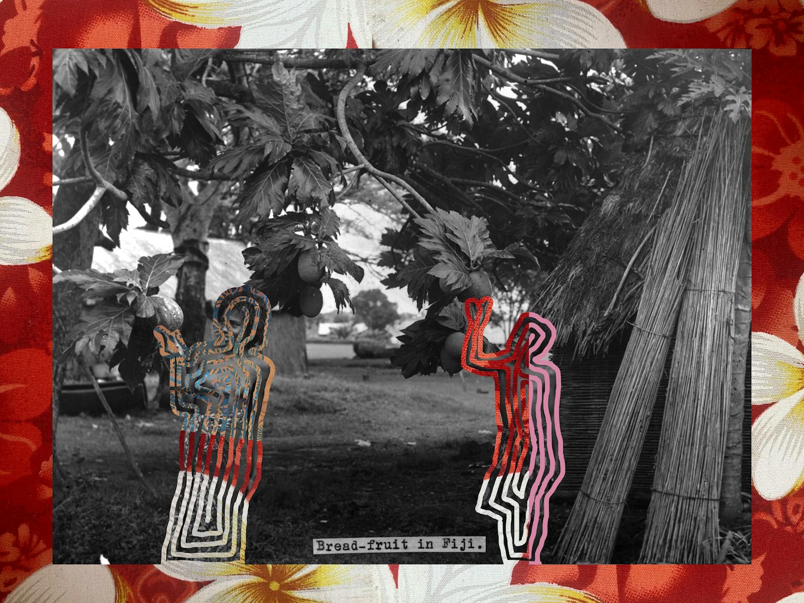 Image for Karlina Mitchell - a place with no other