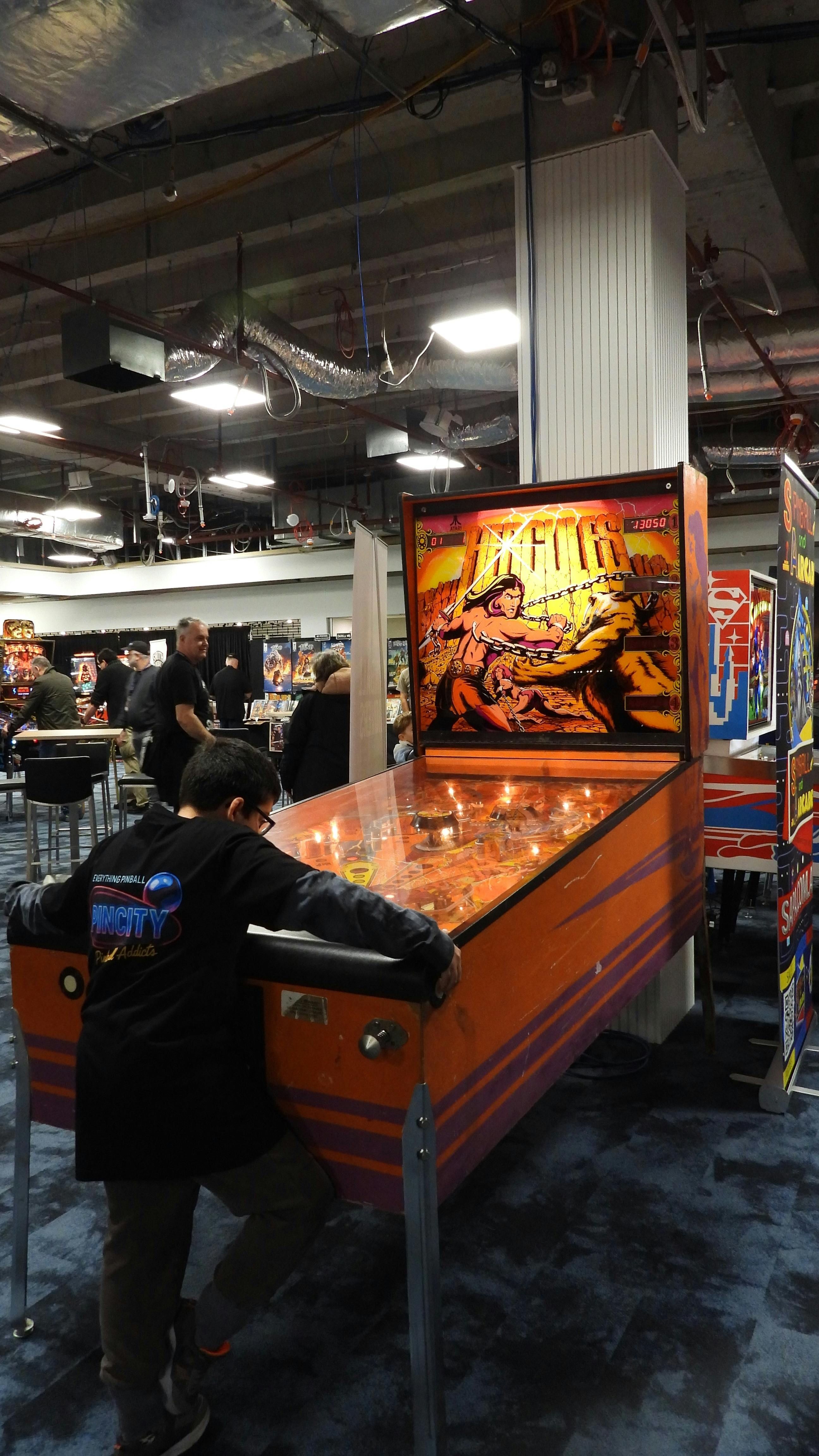 The worlds largest pinball