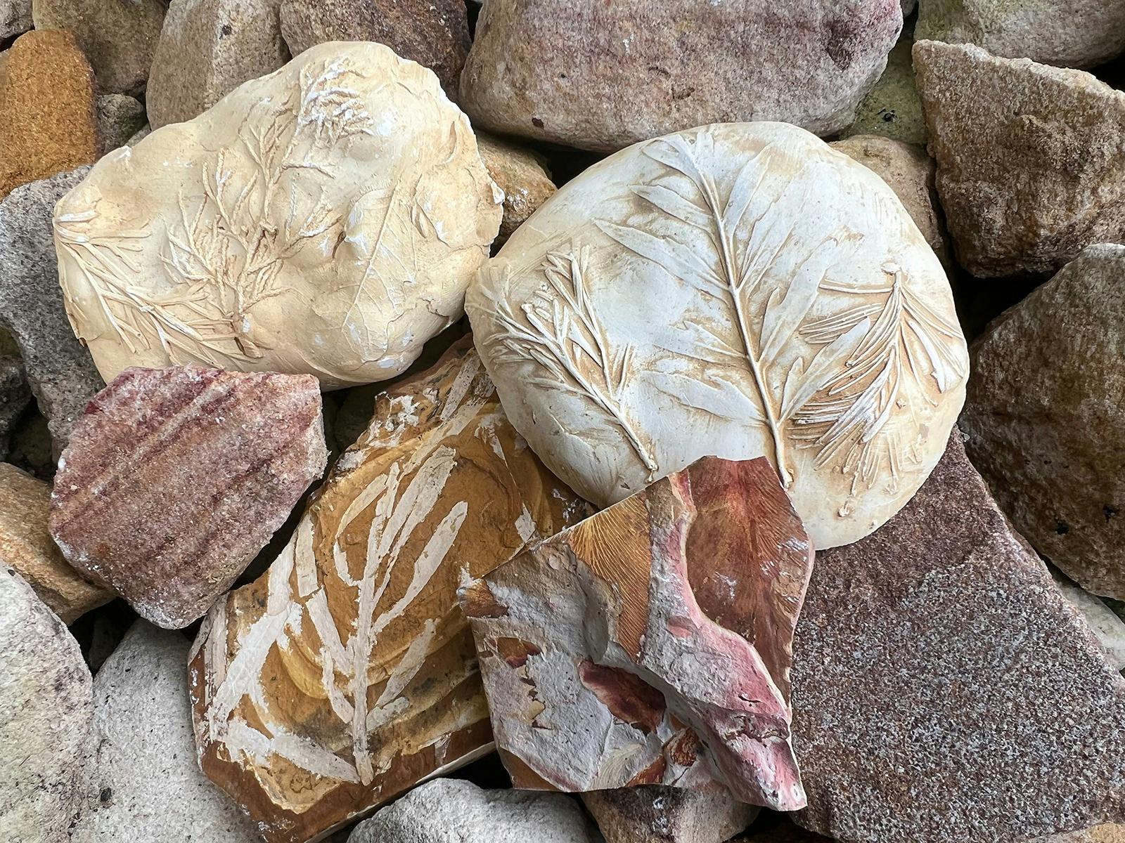 Fun with Fossils Holiday Program