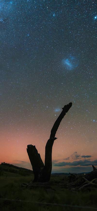 STEVE (Strong Thermal Emission Velocity Enhancement) can be sen as the searchlight like light