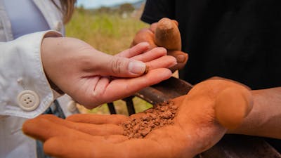 Hands touching dirt