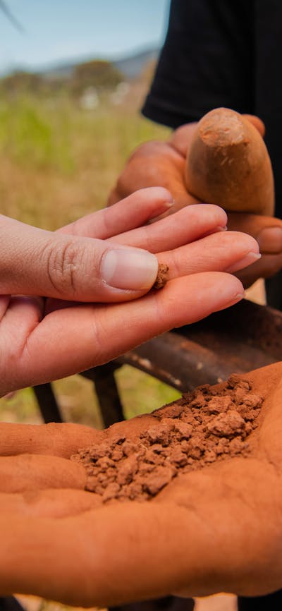 Hands touching dirt