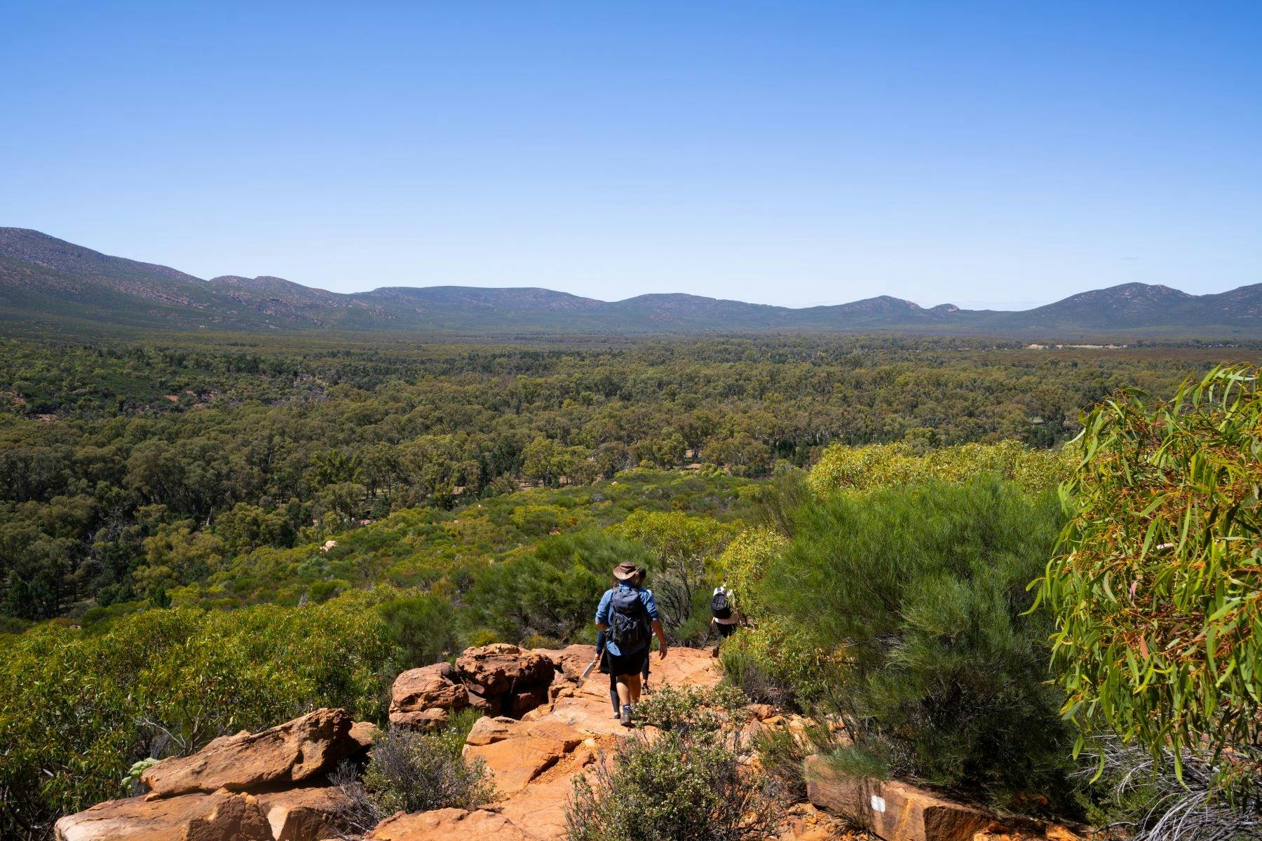 7-Day Uluru to Adelaide Tour