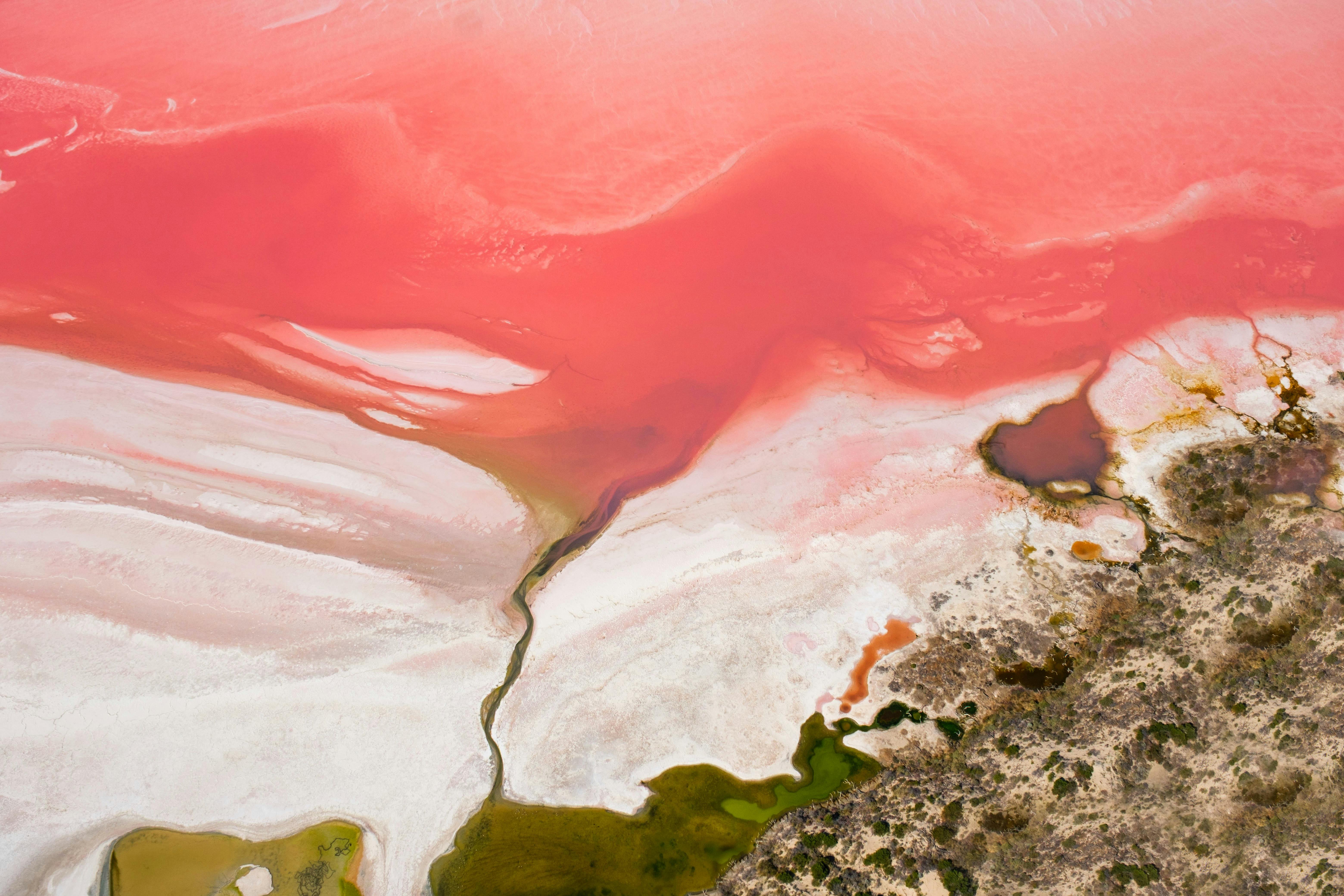 Pink Lake Hutt Lagoon