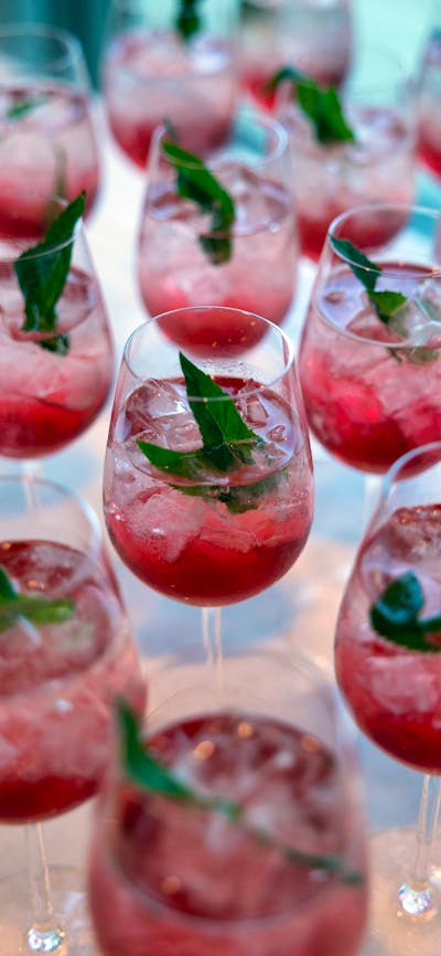 Pink cocktails with mint leave as decoration.