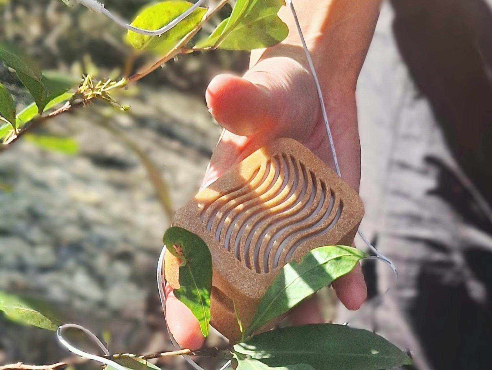 A device is connected to leaves of plants