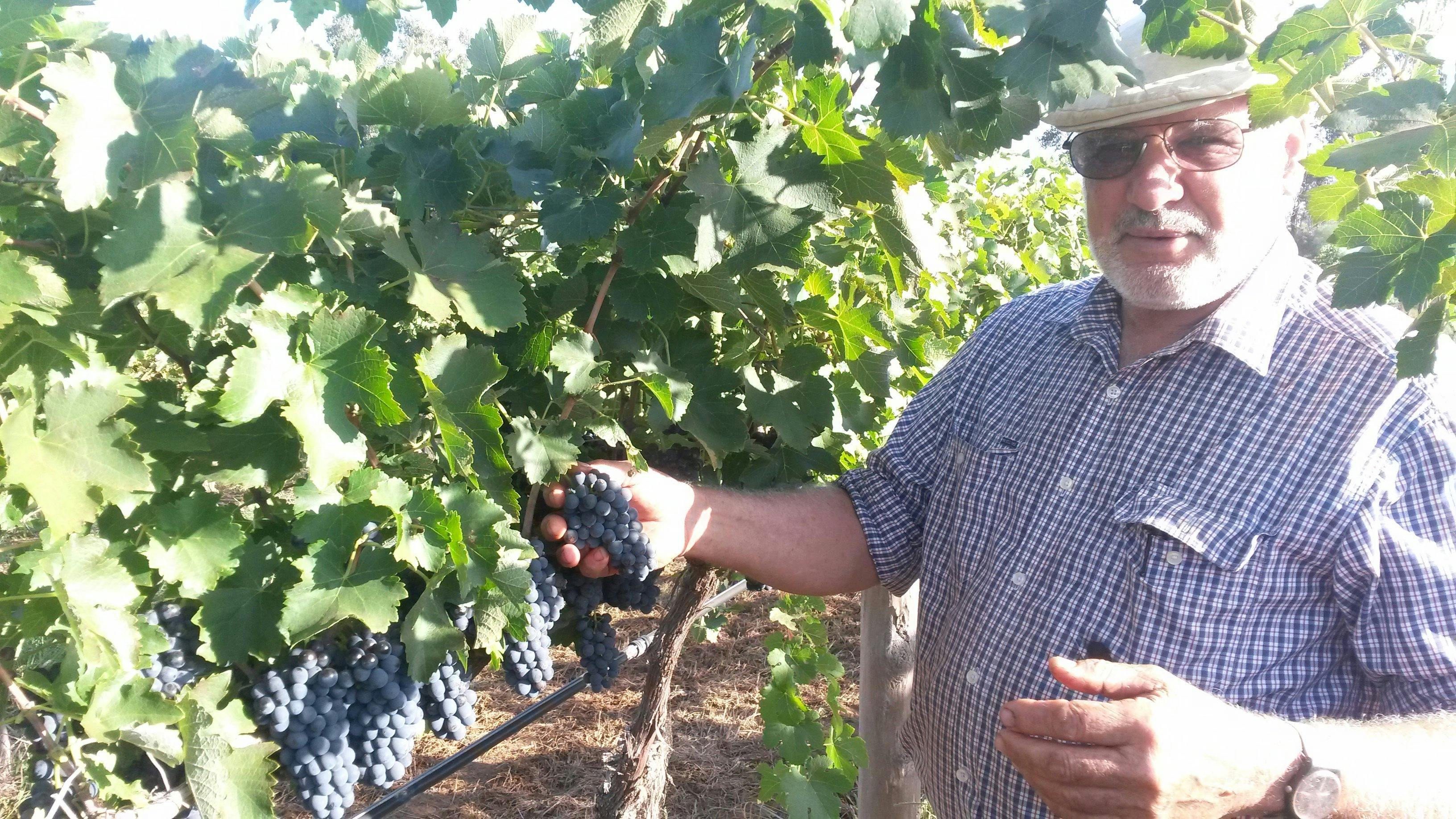 Rosnay Organic Farms and Vineyard