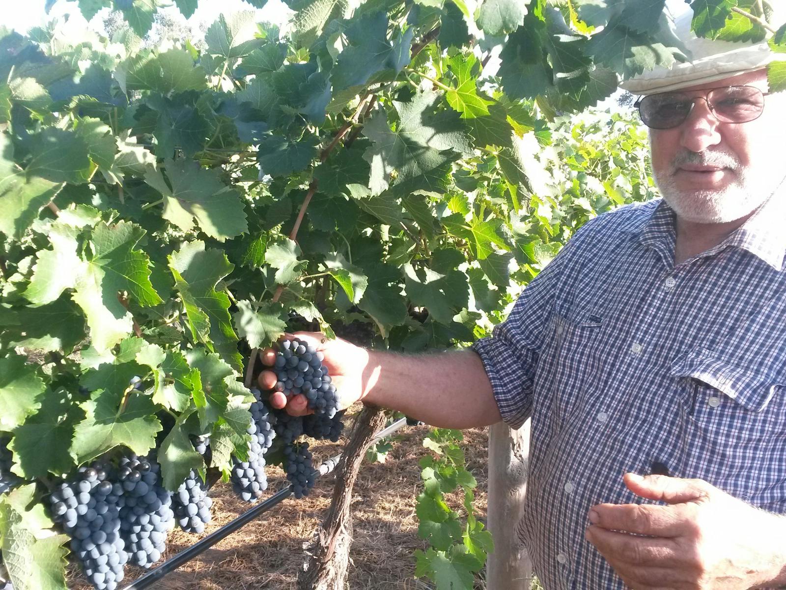 Rosnay Organic Farm and Vineyard