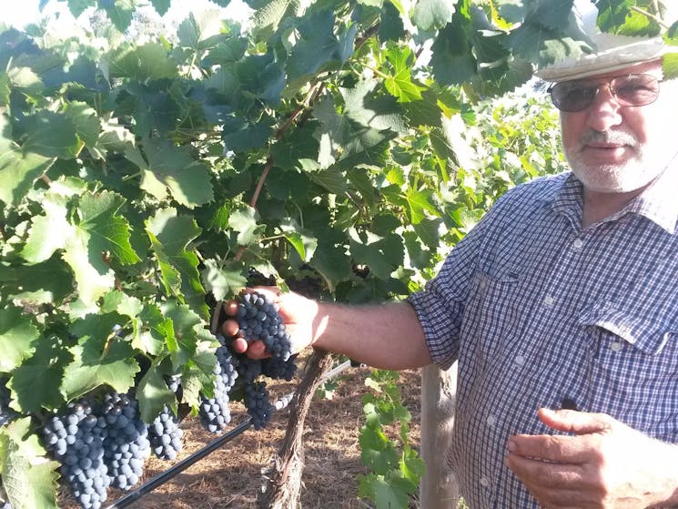 Rosnay Organic Farms and Vineyard