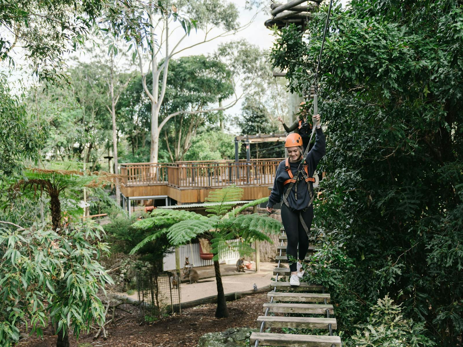 Wild Ropes Toronga Wild Ropes at Taronga Zoo Sydney | Sydney, Australia - Official Travel ...
