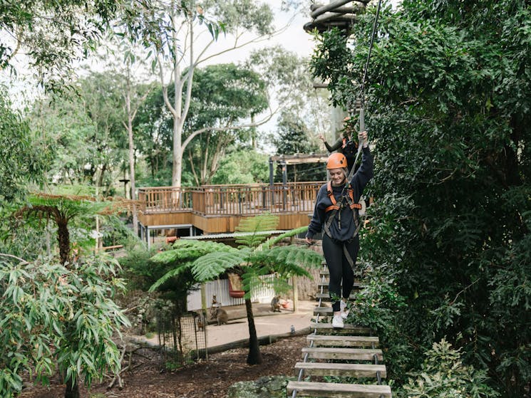 Wild Ropes at Taronga Zoo Sydney - Adults and Juniors Course