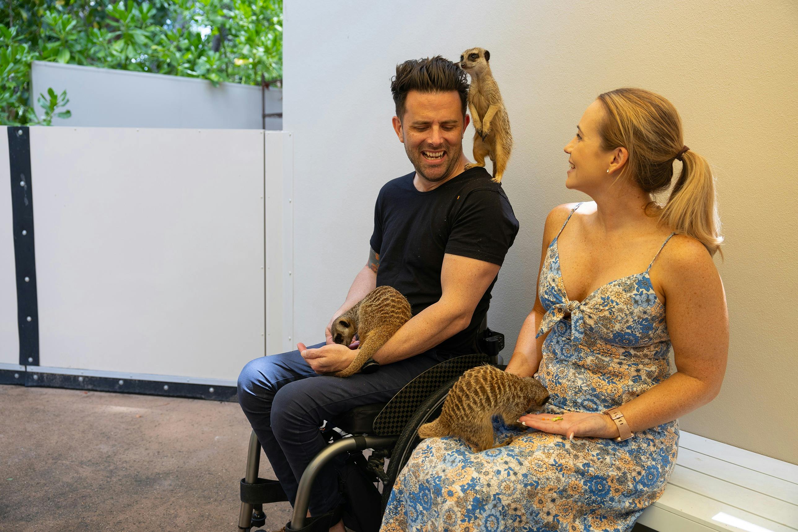 A young couple enjoying a meerkat encounter at Rockhampton zoo