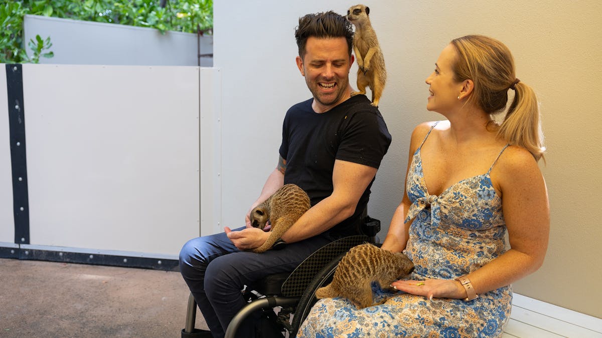 A young couple enjoying a meerkat encounter at Rockhampton zoo
