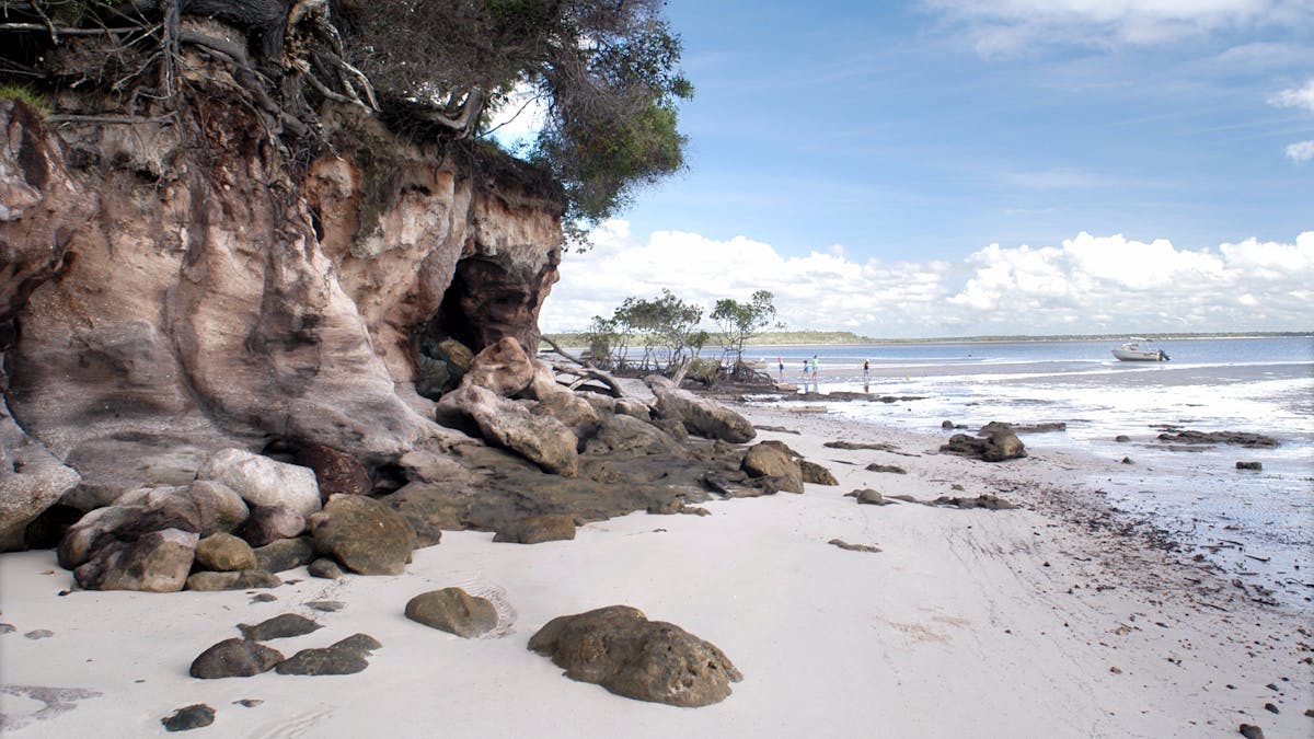Tinnanbar, Fraser Coast, Queensland.