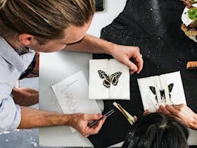 Beginner Entomology Workshop at the Rare Trades Centre Cover Image