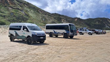 K'gari Tours K'gari Tours