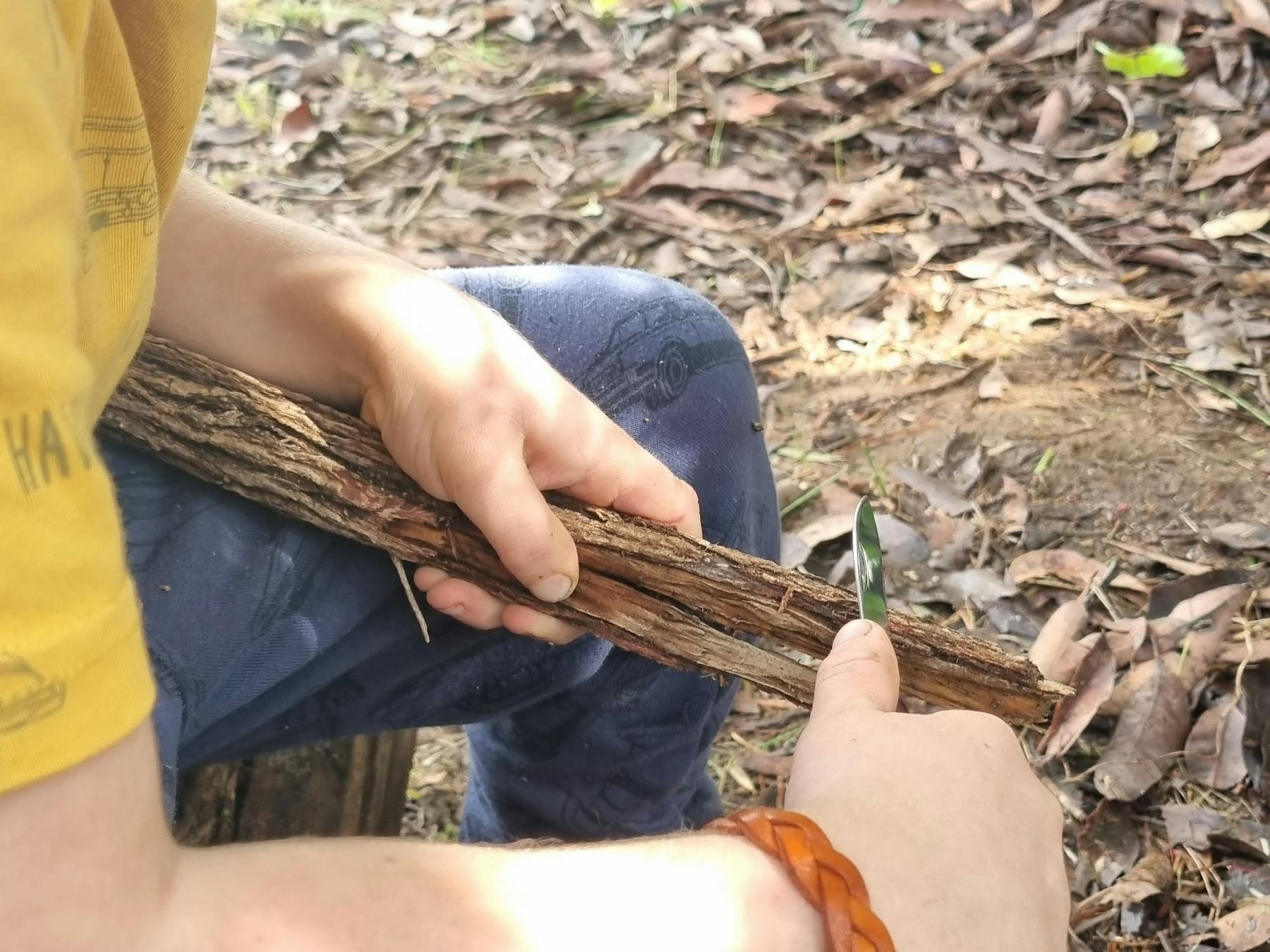 Whittling Survival Bush Skills Pemberton