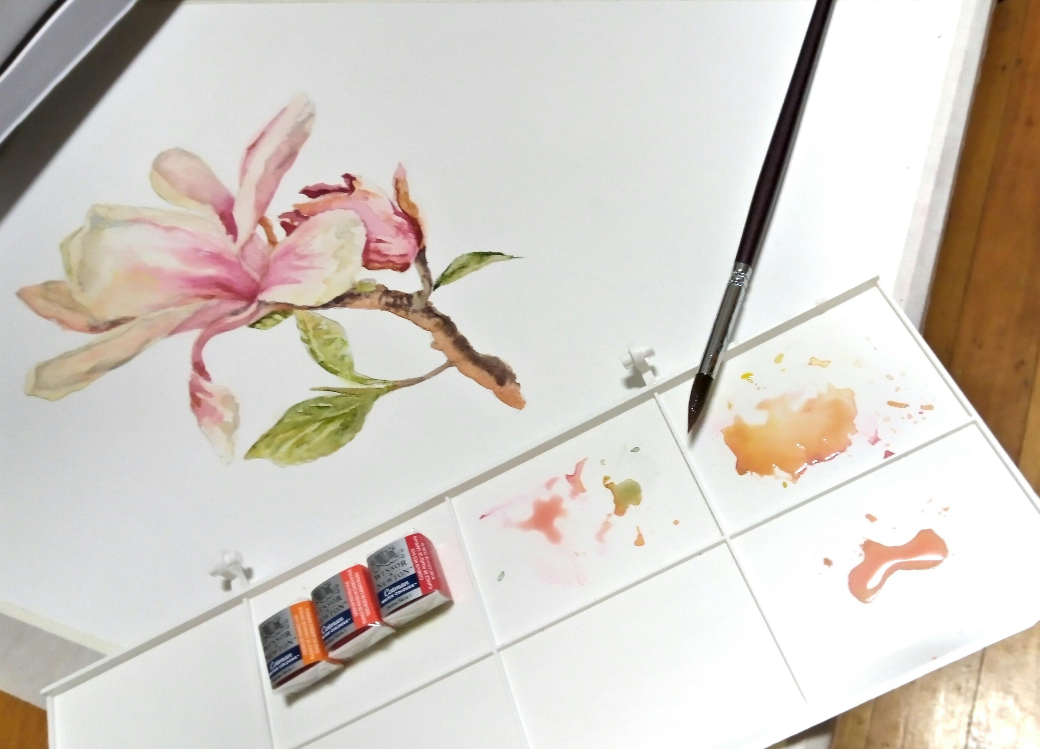 Scribble Cat Studios- Watercolour Painting Class