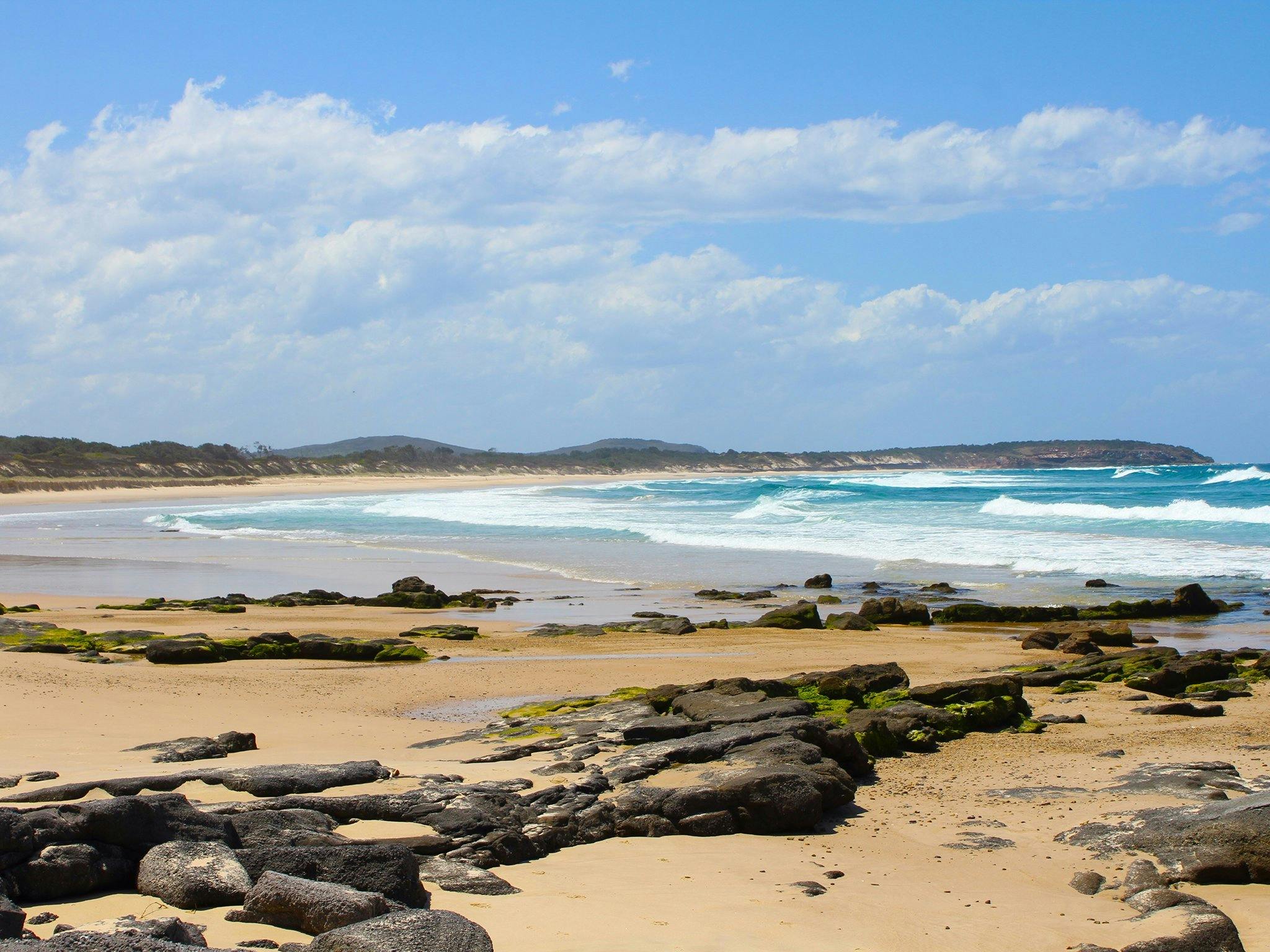 Plumbagoから北に向かってShelleyHeadに戻ります。