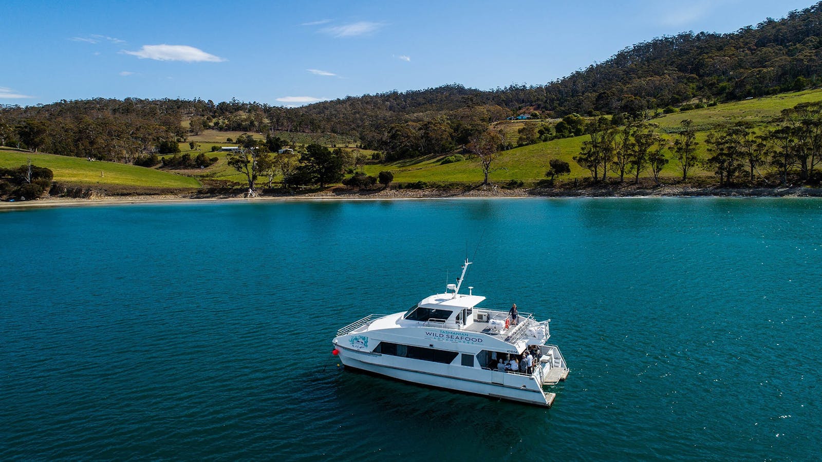 Cuttlefish anchored at Bull Bay, Bruny Island