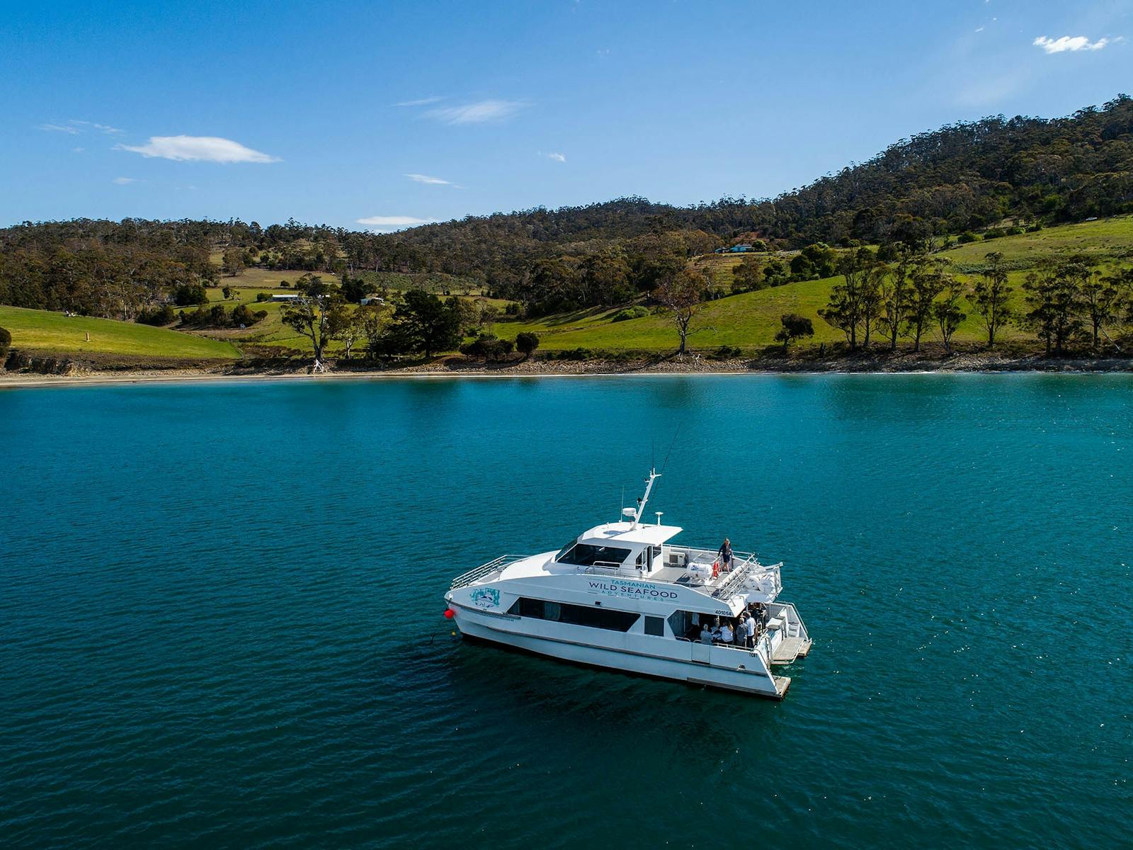 Catamaran Cuttlefish anchored with Bruny Island in the background