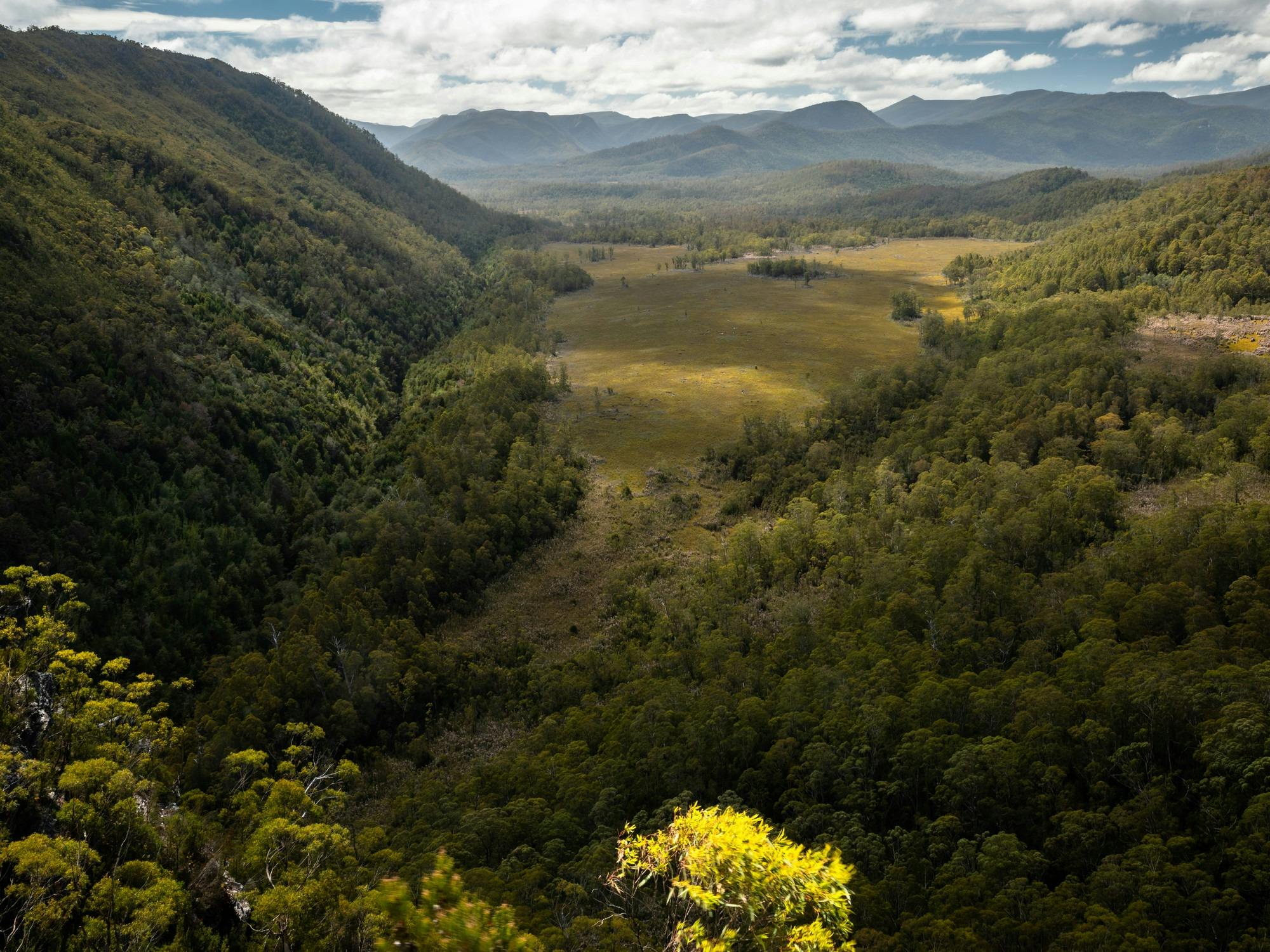 Collingwood Plains as seen from Donaghys Hill - Great Short Walk