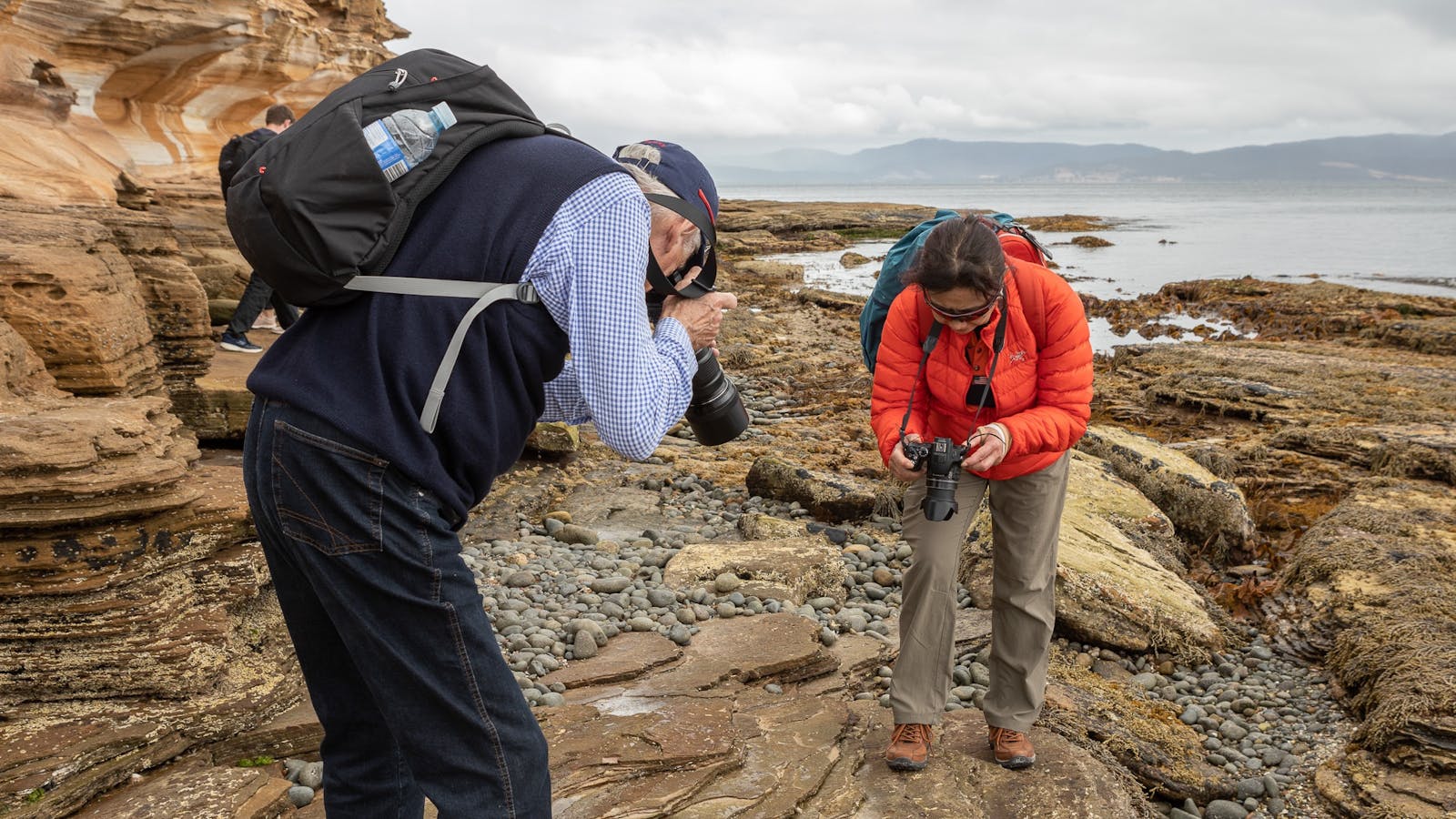 Capturing the colours, shapes and patterns of the rocky foreshore