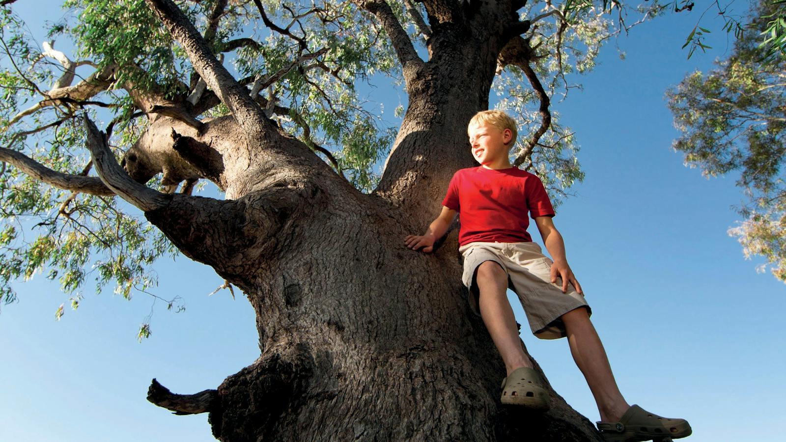 Goondiwindi