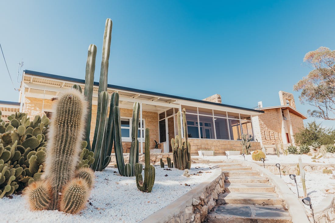 Cosy Cactus - Waikerie, Accommodation | South Australia