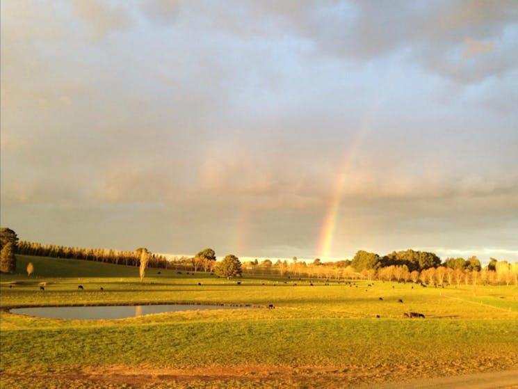 Southern Highland Wines
