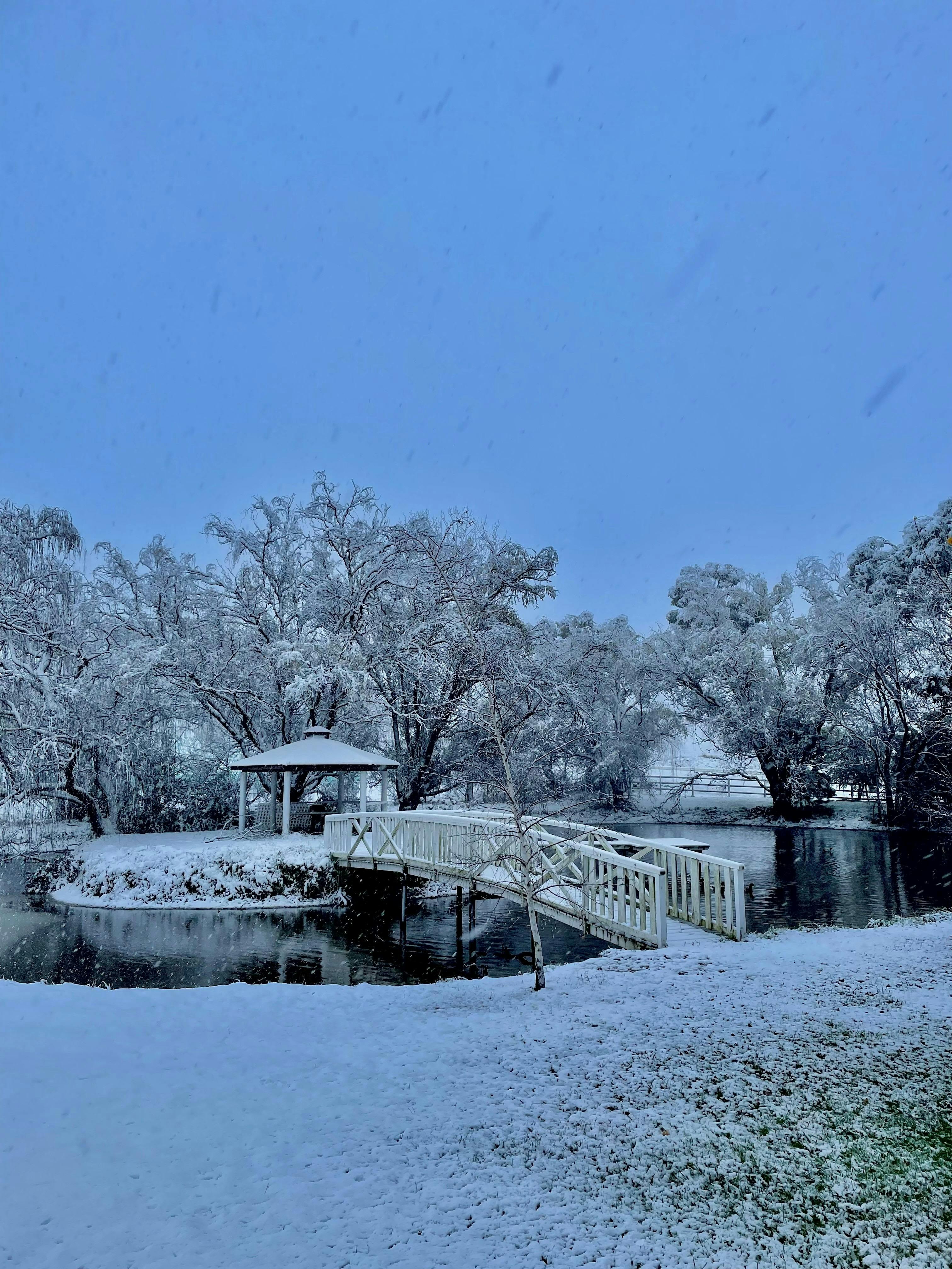 Snow fall surprise captured at Byrne Farm in winter 2021 over out lagoon