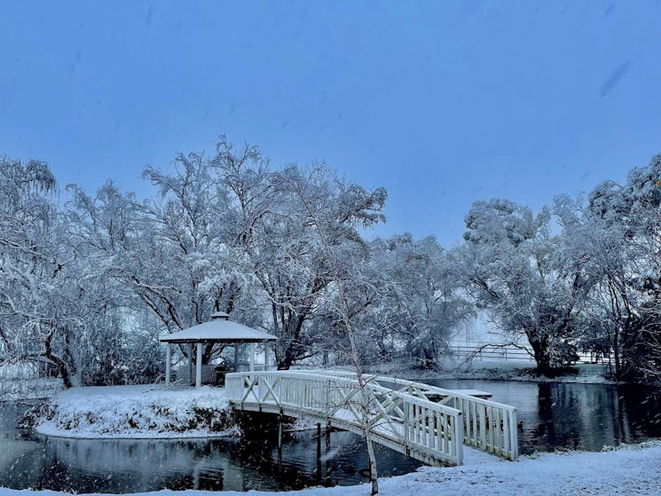 Snow fall surprise captured at Byrne Farm in winter 2021 over out lagoon