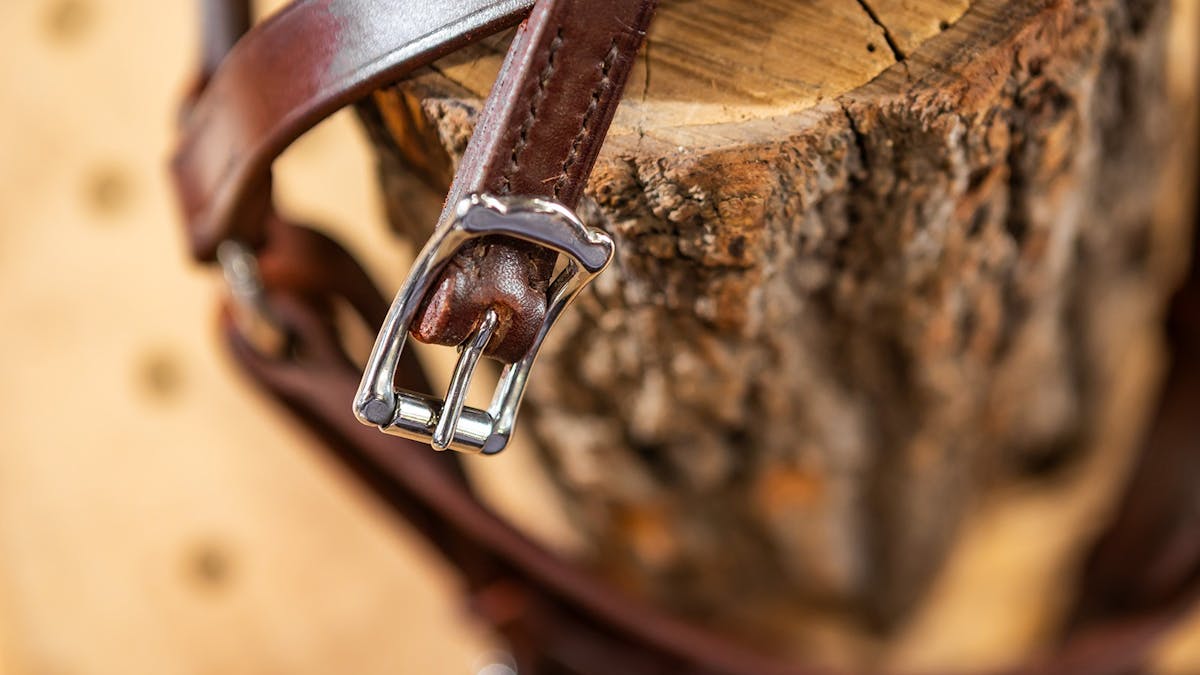 Close-up of bridle end displaying leather and buckle.
