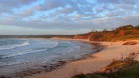 Beloved Back Beach, Angourie.