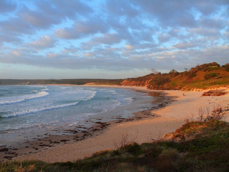 Beloved Back Beach, Angourie.