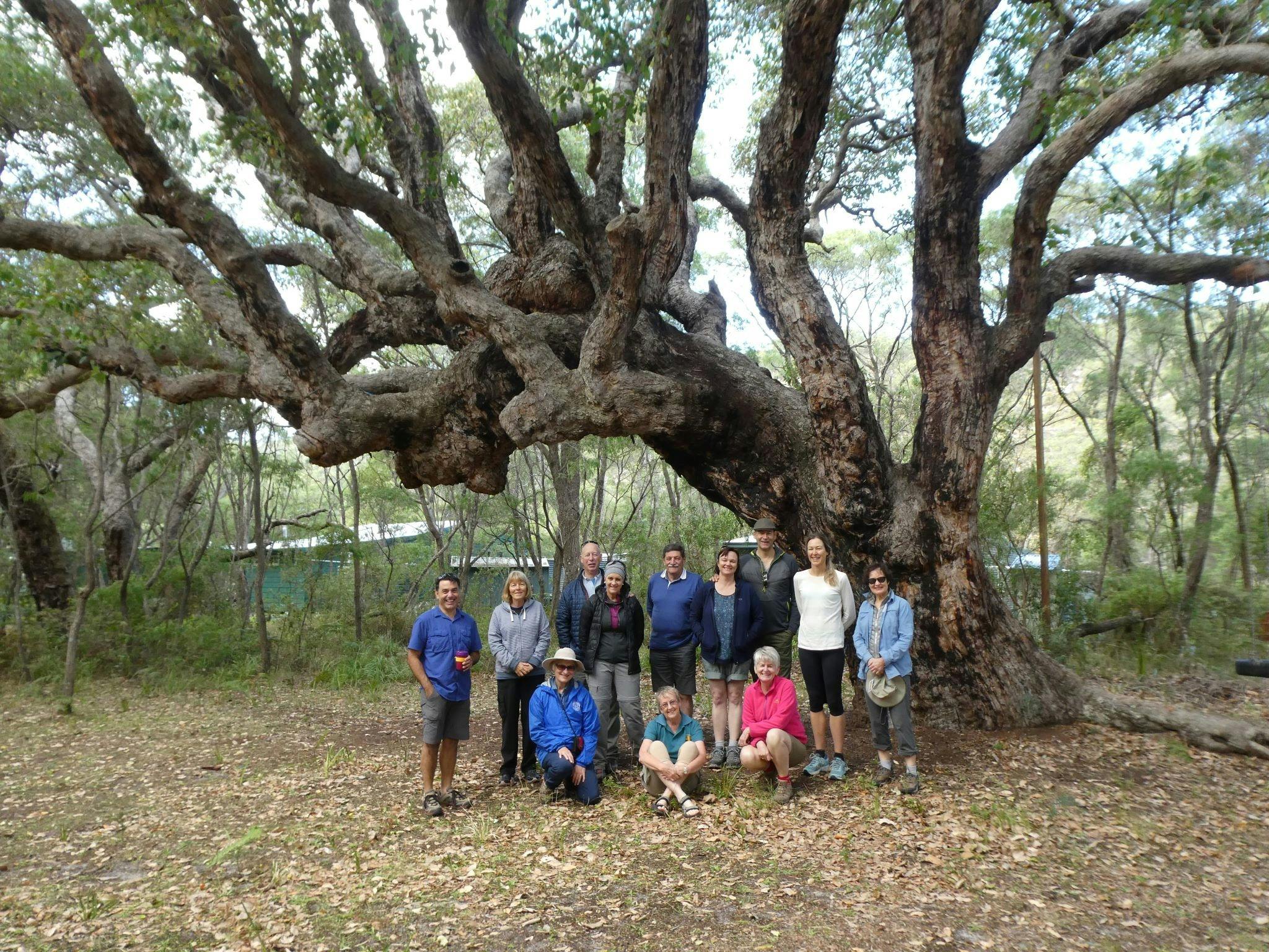 Bibbulmun Track Foundation, Perth, Western Australia