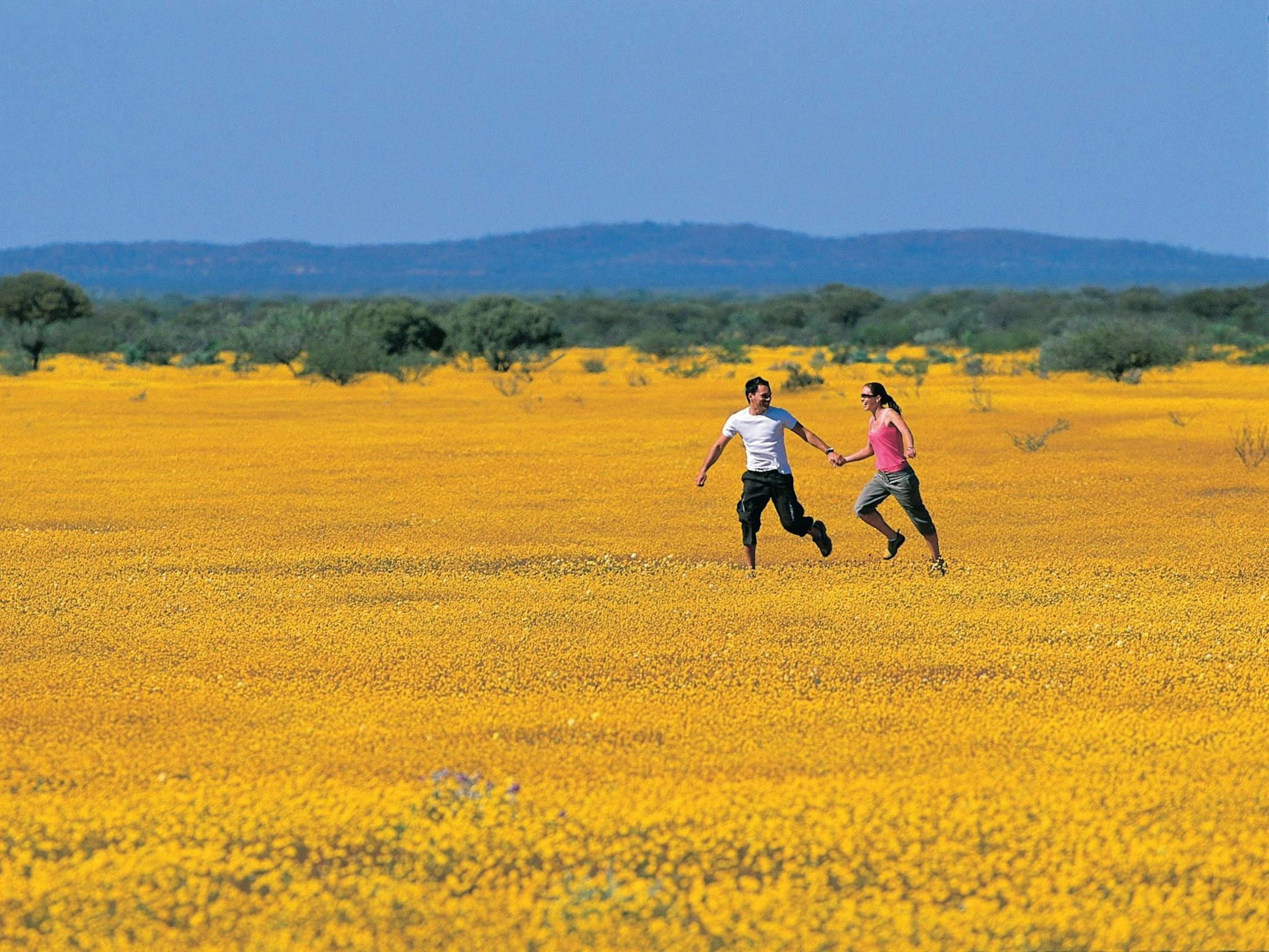 Complete Ningaloo Reef Experience, Carnarvon, Western Australia