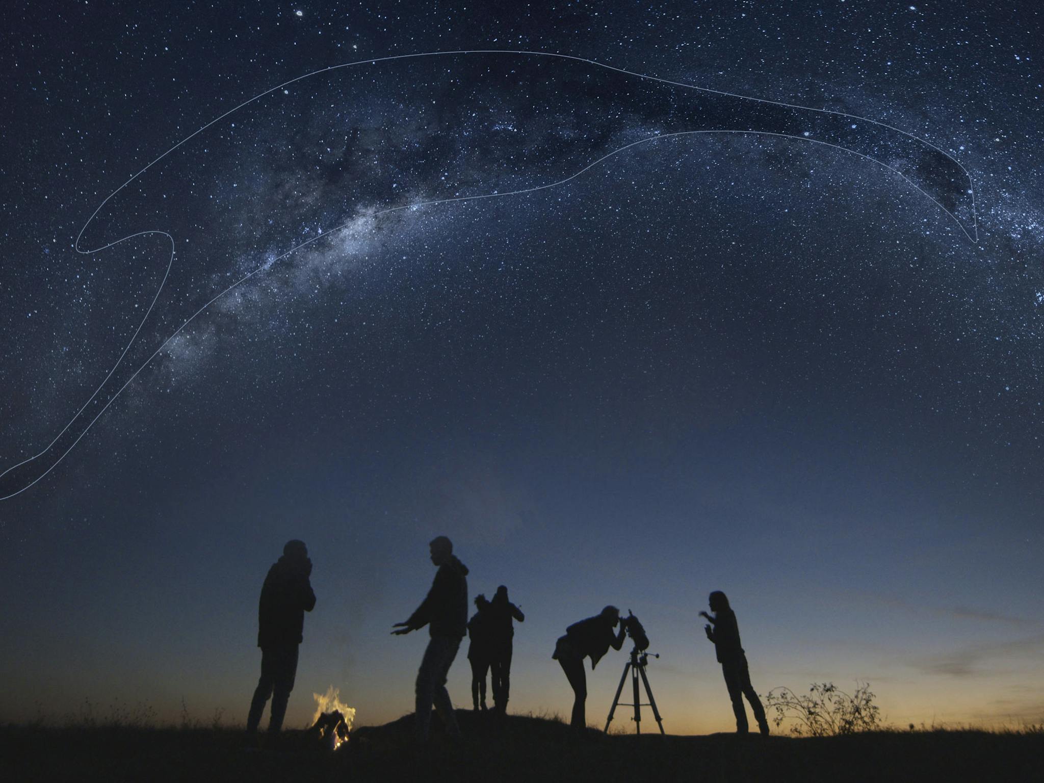 Join your Yinggarda guide for cultural star stories  beneath a clear Gascoyne night sky.