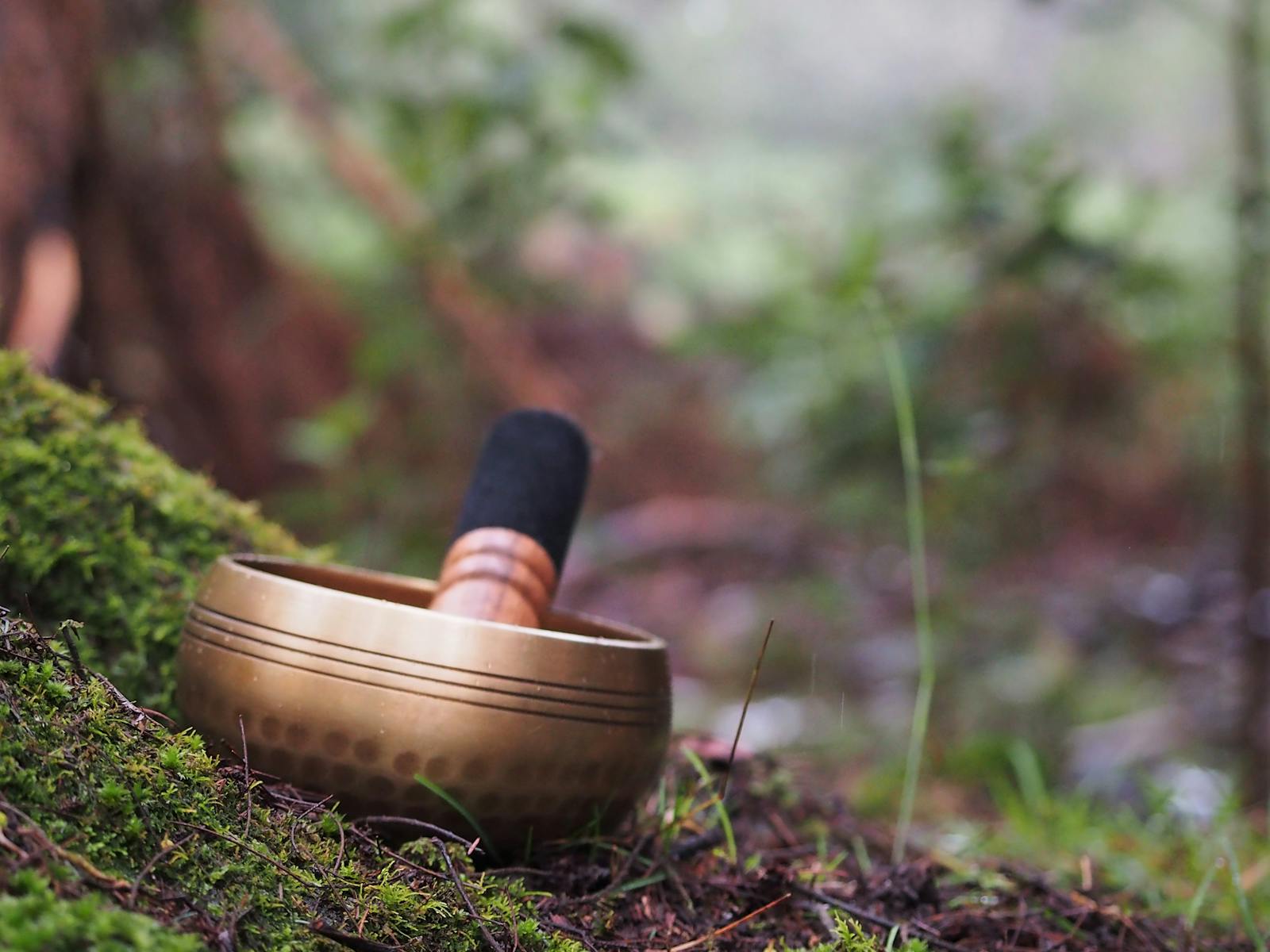 singing bowl and tree